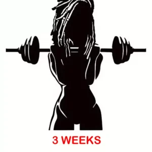 3 Weeks Beginner Bootcamp