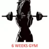 6 Weeks Gym Program