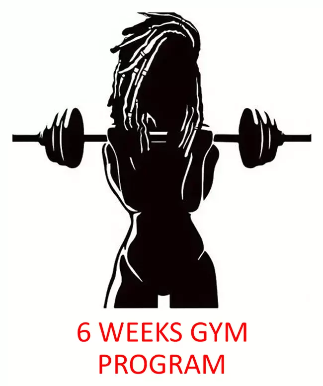 6 Weeks Gym Program