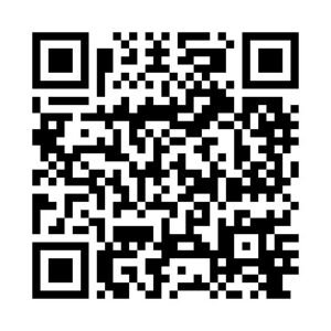 Alternative view of Bicycle event